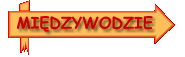 Miedzywodzie